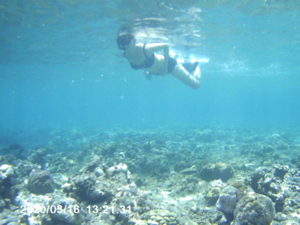 The Arya Guest House Gilimanuk Luaran gambar